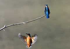 _190305_095437 DSC_6723