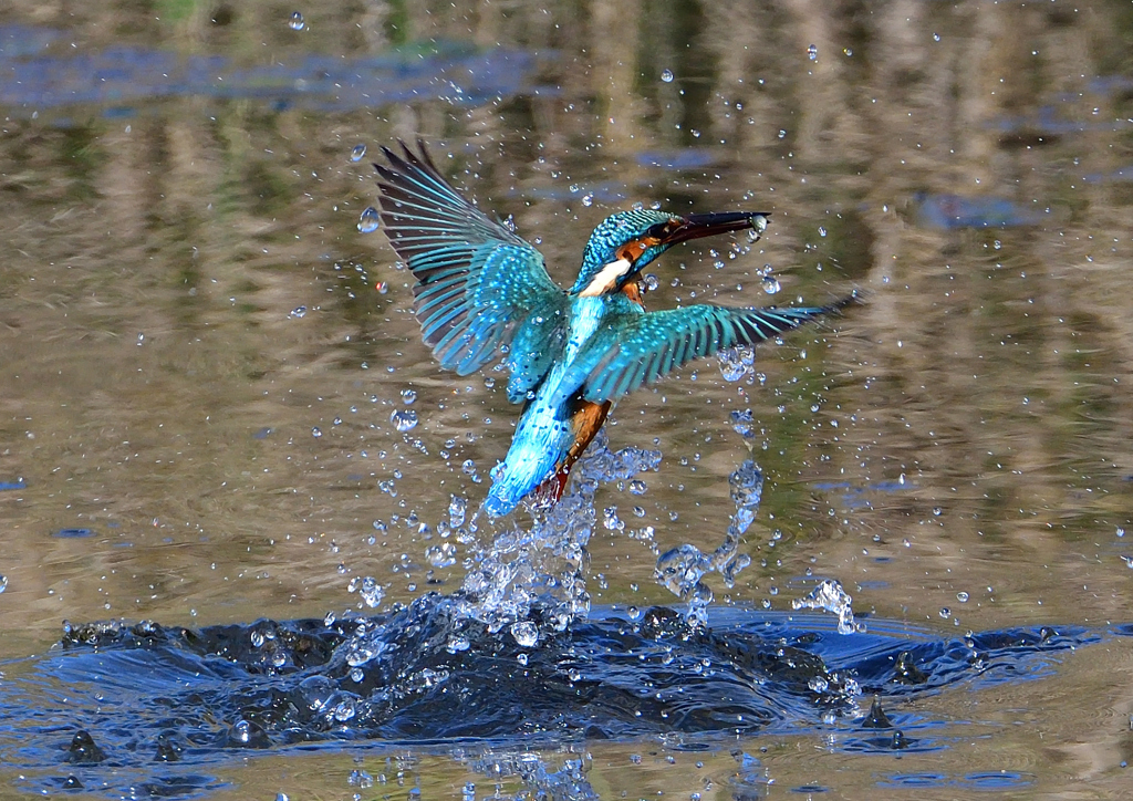 いつもの公園で　１０/２９❾
