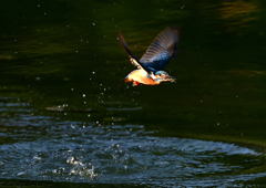 いつもの公園で　１０/７❶