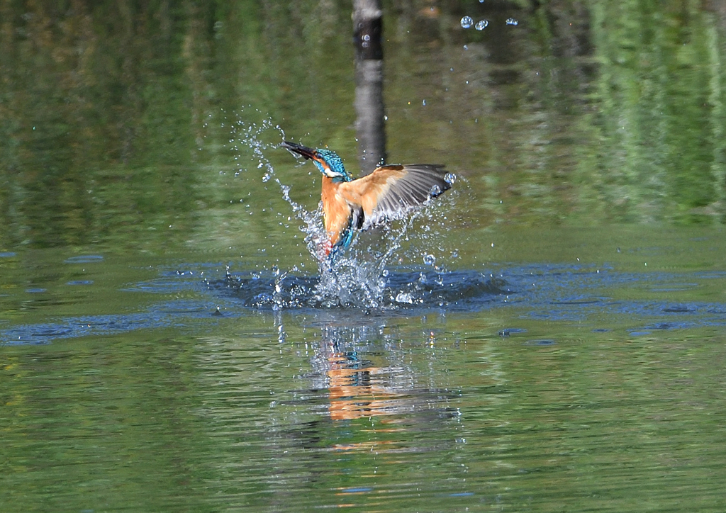 ダイブ　５/７❶