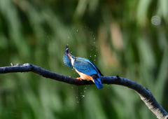 いつもの公園で　１０/７❷