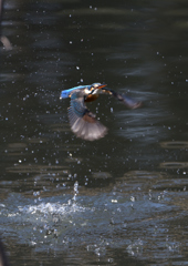 _190305_101710 DSC_6742