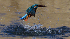 ダイブ　２/２７❸