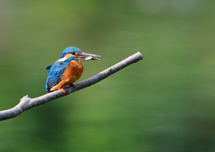 いつもの公園で　１０/２❹