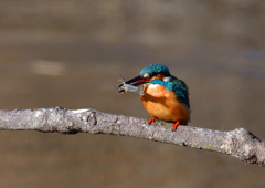 いつもの公園で　１/２５❶