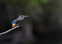 いつもの公園で　１０/６❼