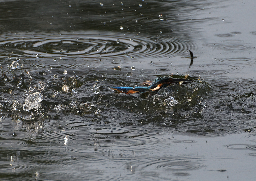 水飛沫　９/９❹