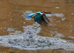 いつもの公園で　１/１７❷