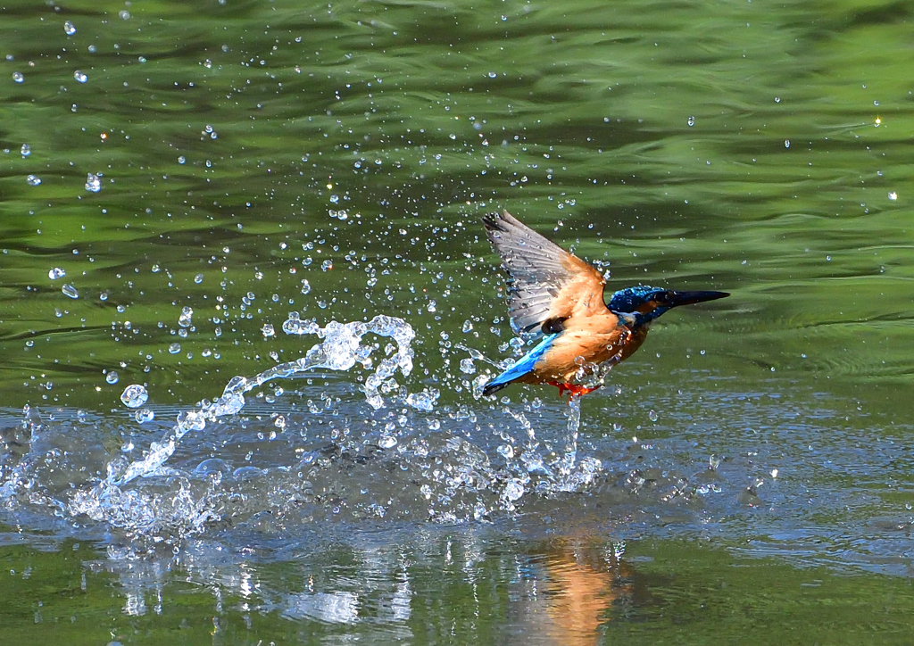 水飛沫　５/１４❹