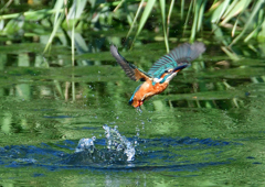 いつもの公園で　９/９❺