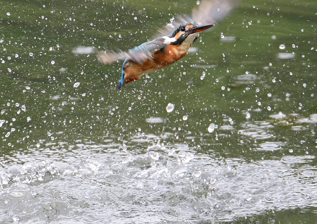 水飛沫　９/２２❷