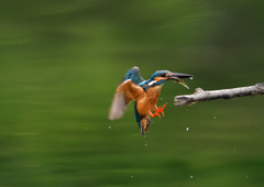 いつもの公園　７/１９➄