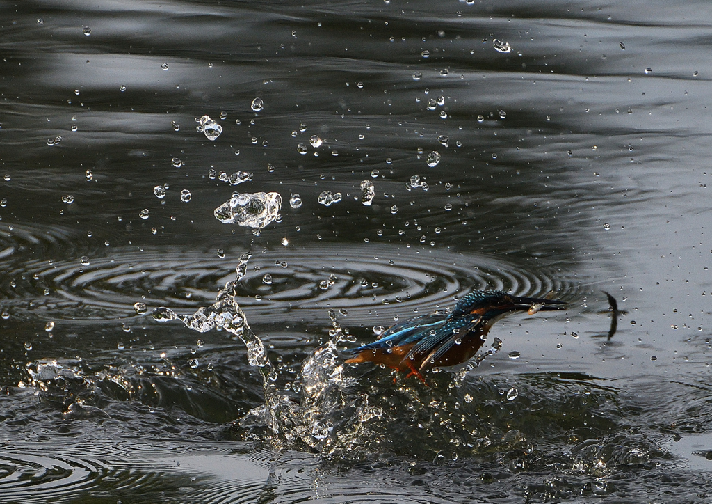 水飛沫　９/９❸
