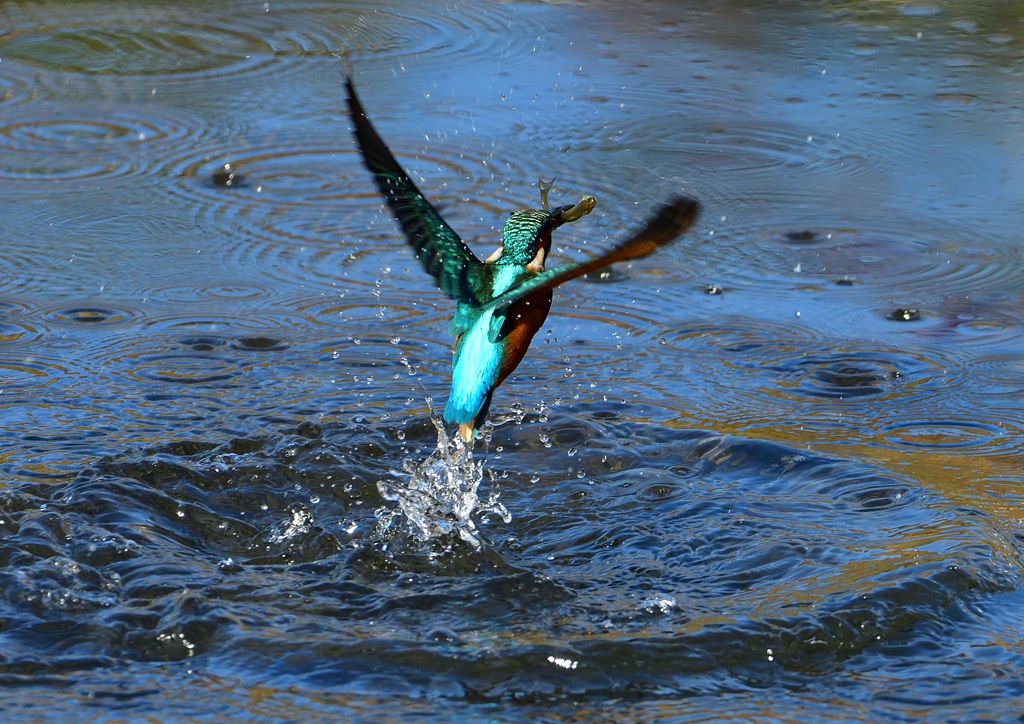 いつもの公園で　１１/１３❶