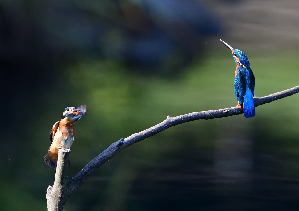 いつもの公園で　１０/７❺