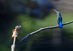 いつもの公園で　１０/７❺