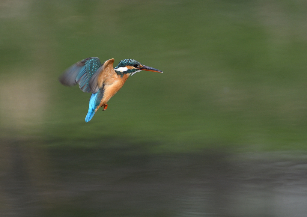 _190317_085111 DSC_7907