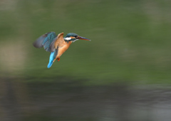 _190317_085111 DSC_7907