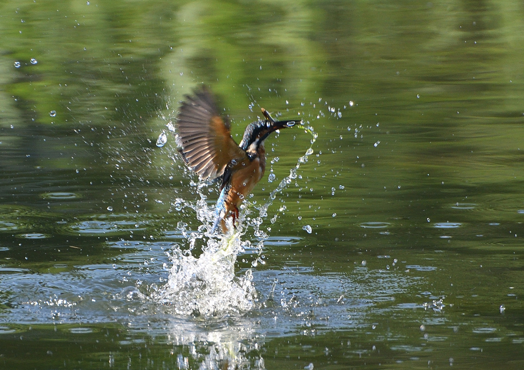 飛沫　８/２６❿