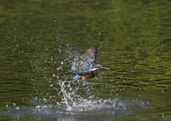 ダイブ　８/２５❸