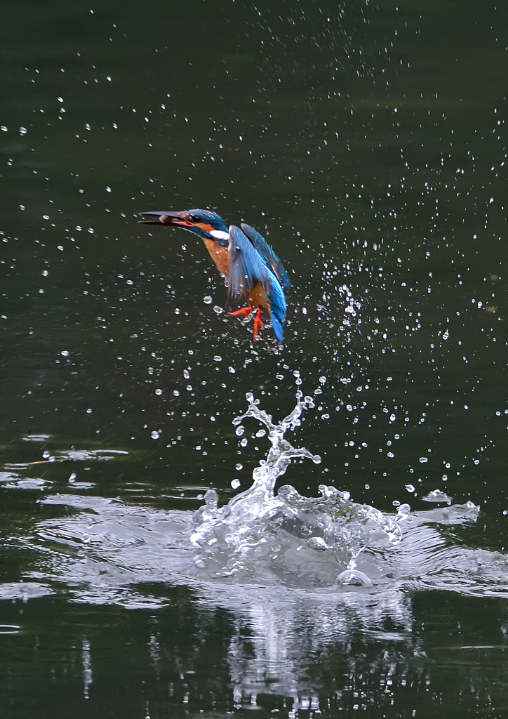 水飛沫　７/１５①