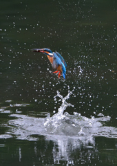 水飛沫　７/１５①