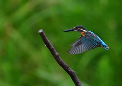 いつもの公園で　９/１６❸
