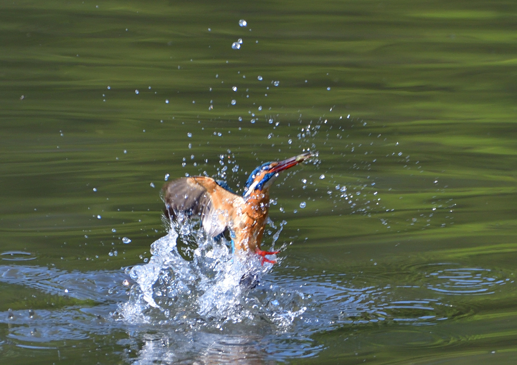 水飛沫　４/２９❻