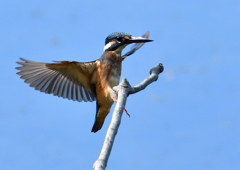 いつもの公園で　８/３０➓