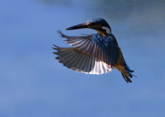 緩急自在　９/３❷