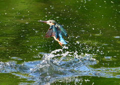 いつもの公園で　８/３０❷