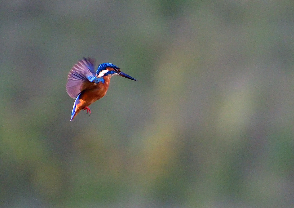 いつもの公園で　１０/１５❸