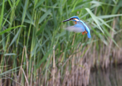 ホバリング　５/９❷