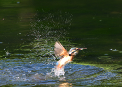 飛沫　８/２６❻