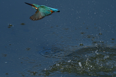 ダイブ　３/７❸