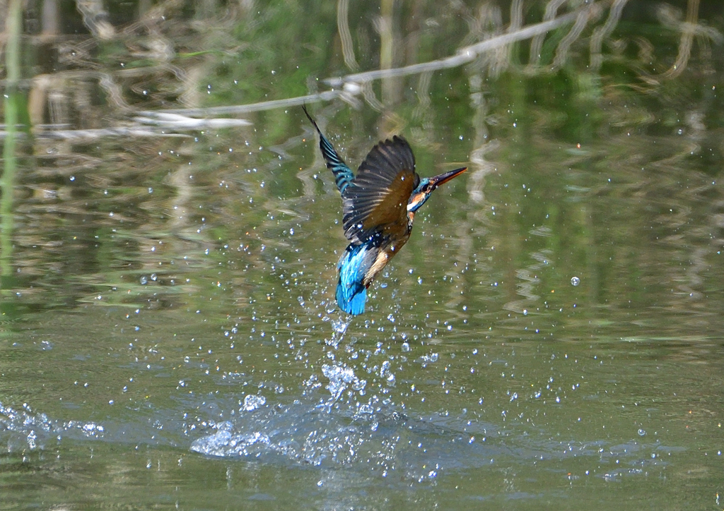 水飛沫　５/１４❾