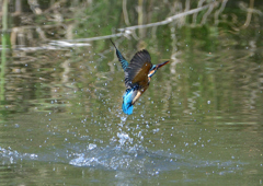 水飛沫　５/１４❾