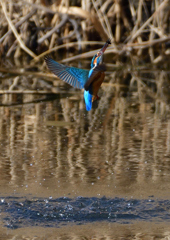 いつもの公園　2／7❷