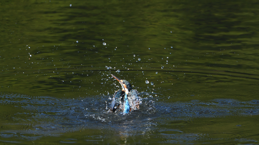 水飛沫　９/１２❸