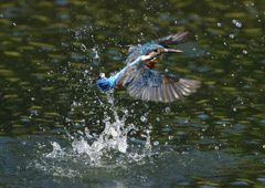 _191009_085132 DSC_9246