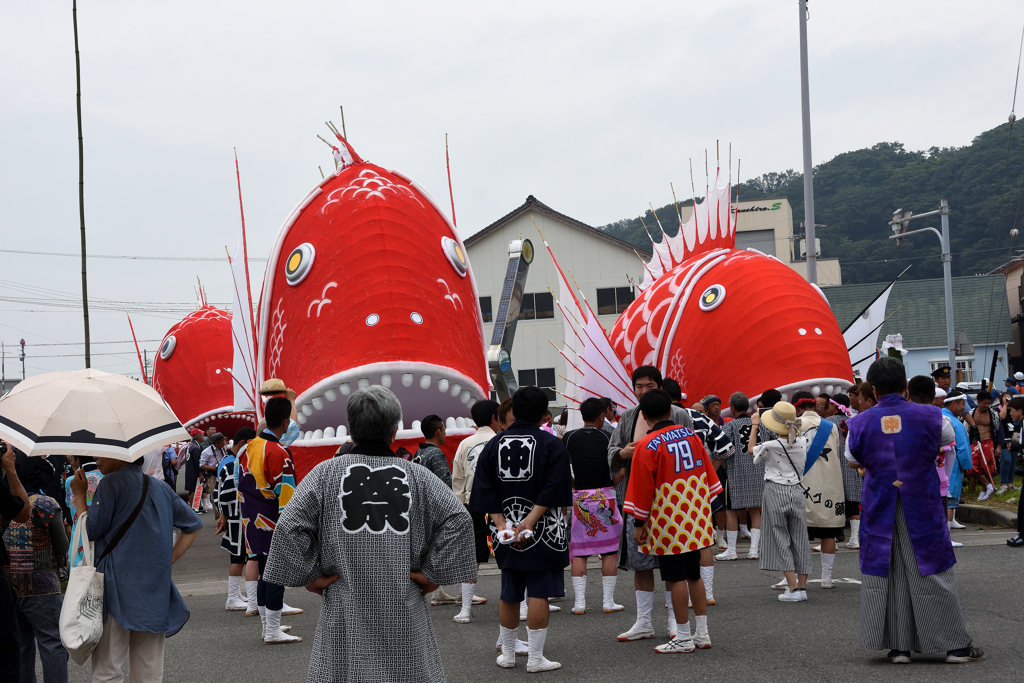 鯛まつり❼