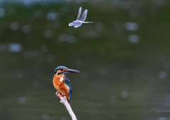 いつもの公園で　８/２１❸
