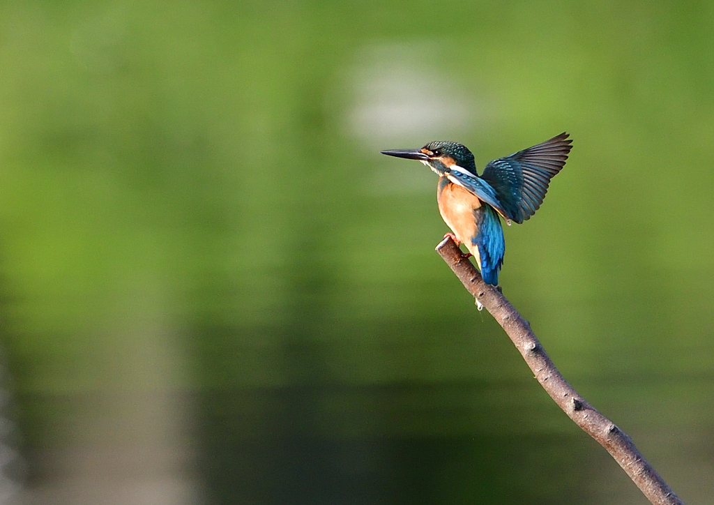 いつもの公園で　８/２３❹