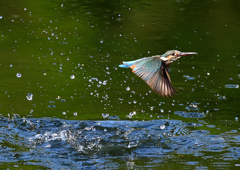 いつもの公園で　８/３０❶