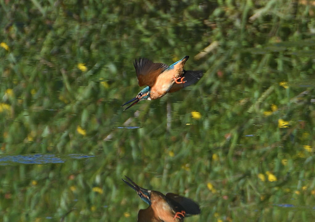  角度４５度・・・・