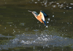 _190906_082811 DSC_9474