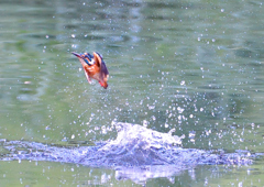 いつもの公園で　９/５❹