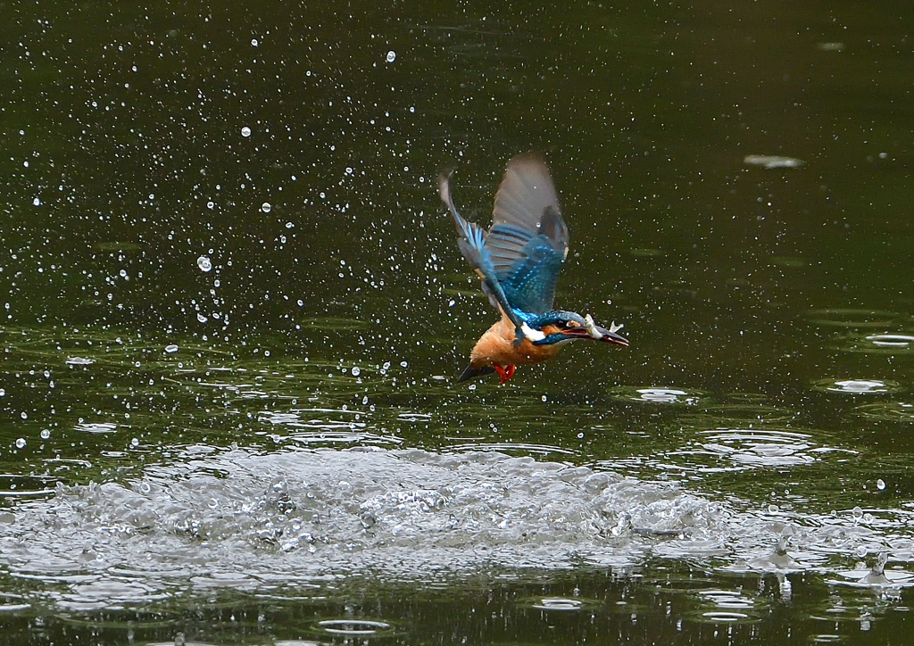 水飛沫　５/９❹