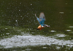 水飛沫　５/９❹