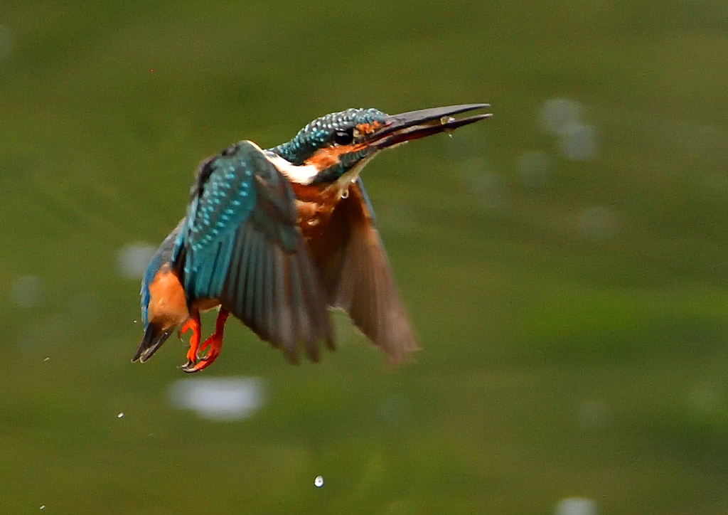 いつもの公園で　８/２１❹